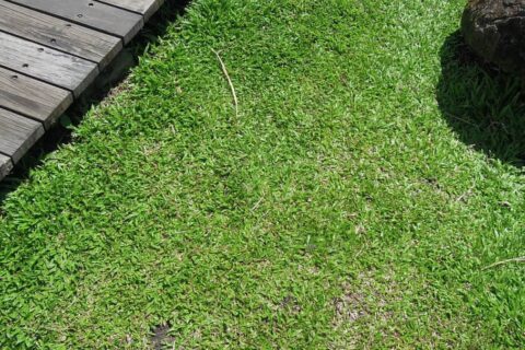 Landscaping Contractors Chellaston