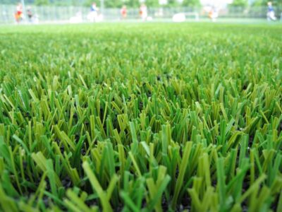 Artificial grass cleaner Borrowash