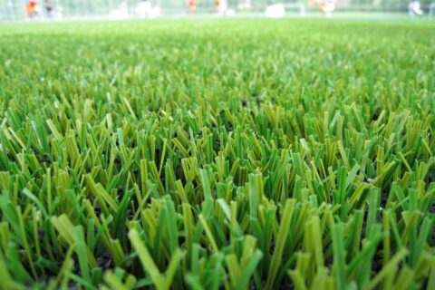 Artificial Grass near me Borrowash DE72
